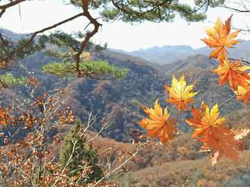 全國人大最新任免，重塑領(lǐng)導(dǎo)團隊，推動國家治理現(xiàn)代化
