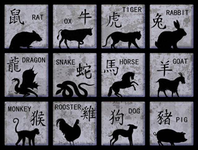 一肖一碼一中一特，探索幸運(yùn)與命運(yùn)的神秘面紗