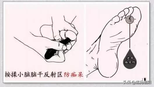 最新手指操，塑造健康生活的秘密武器