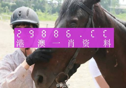 澳門一肖一碼一必開一肖，揭示背后的真相與警示