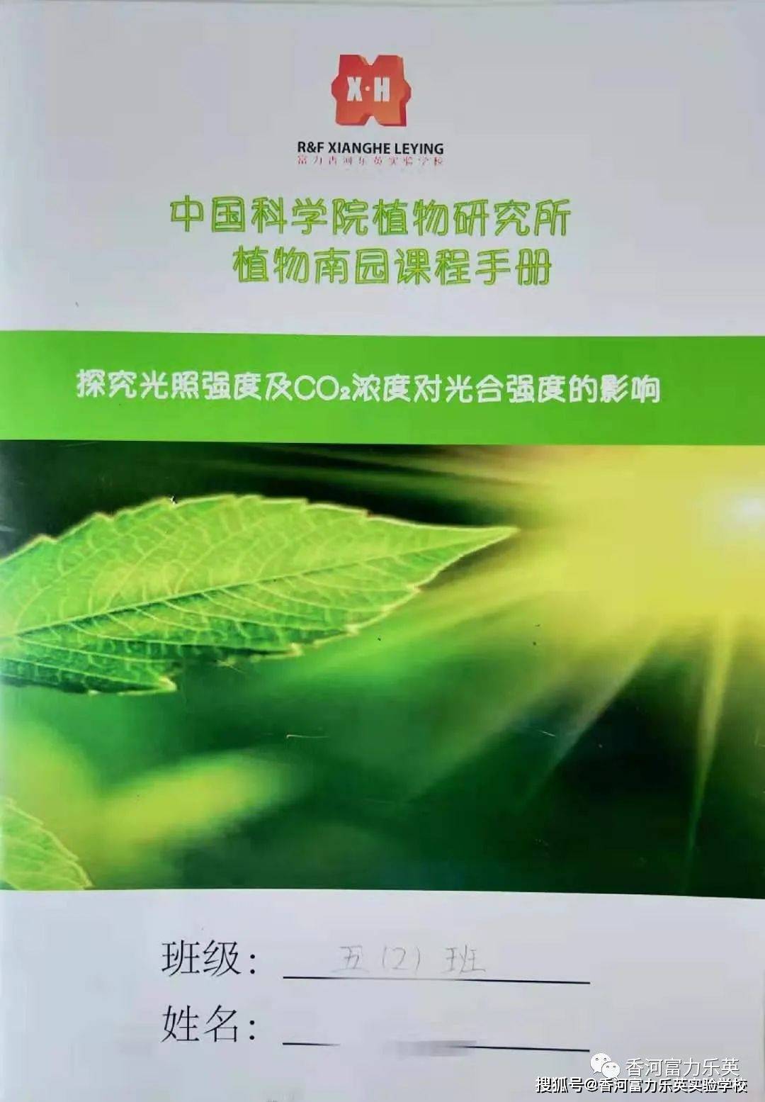劉百溫精準免費資料大全，探索與啟示