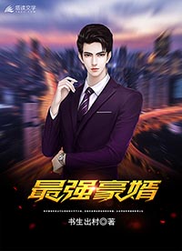 最新豪婿，現(xiàn)代都市中的精英崛起