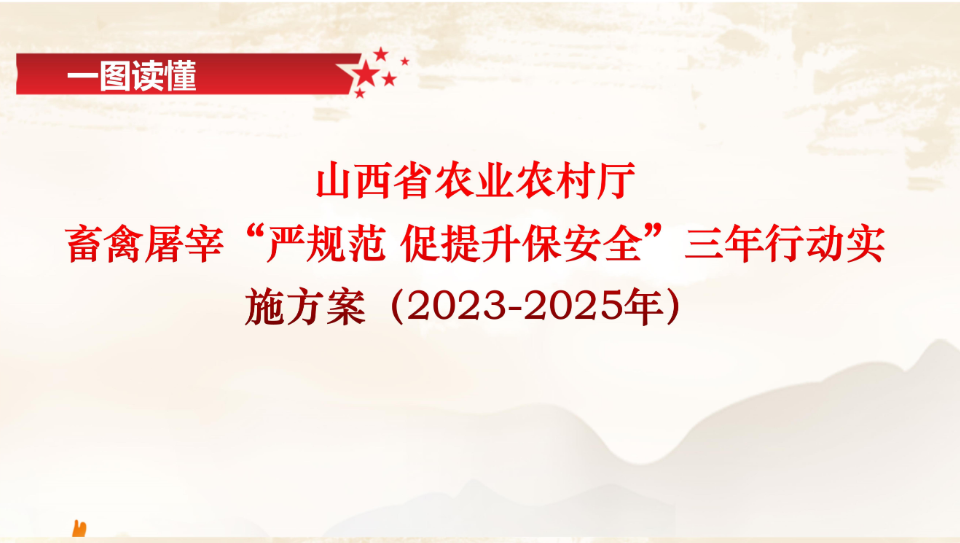解析與落實(shí)策略，關(guān)于一肖一碼一中一特的謀略釋義與行動(dòng)指南（2024年）