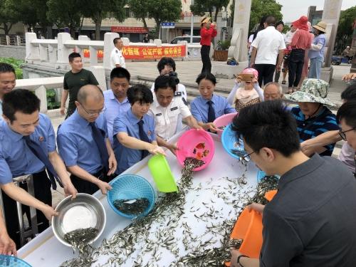 湖州市和孚地區(qū)最新房價動態(tài)與趨勢分析