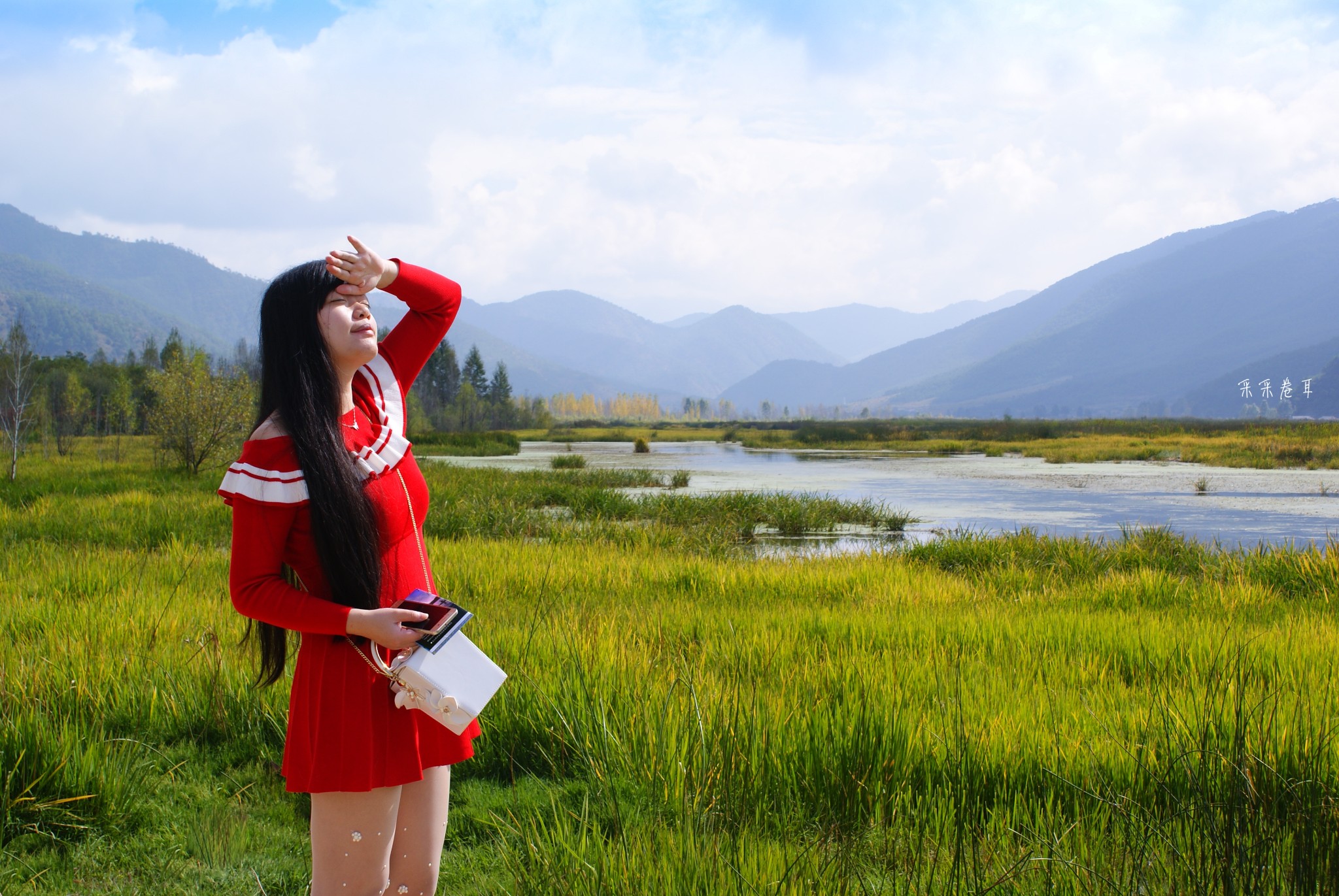草裙論壇最新地址2015，探索與發(fā)現(xiàn)之旅