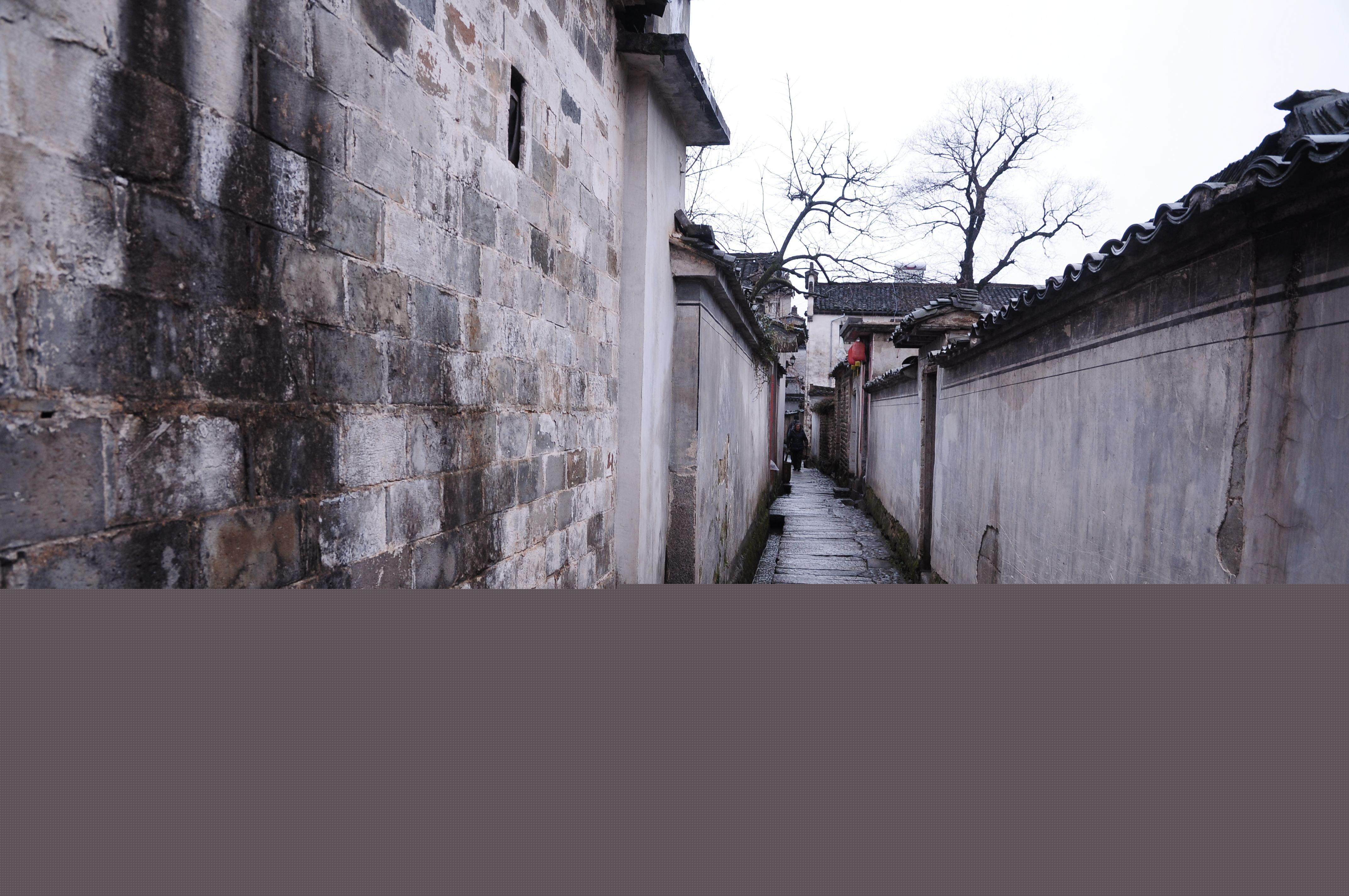 最新鄉(xiāng)村愛情9電視劇，鄉(xiāng)村生活的浪漫與真實寫照