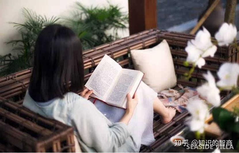 官梯最新章節(jié)快眼看書(shū)，權(quán)力與欲望的交織