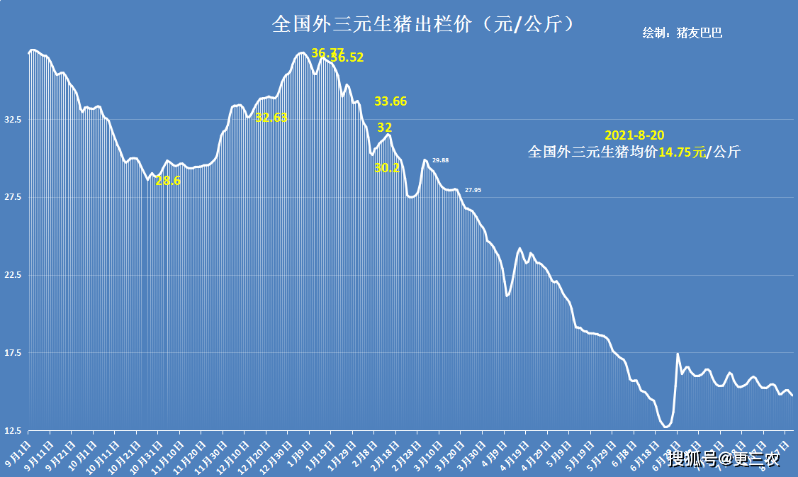 甘肅豬價(jià)今日最新消息，市場(chǎng)動(dòng)態(tài)與未來(lái)展望