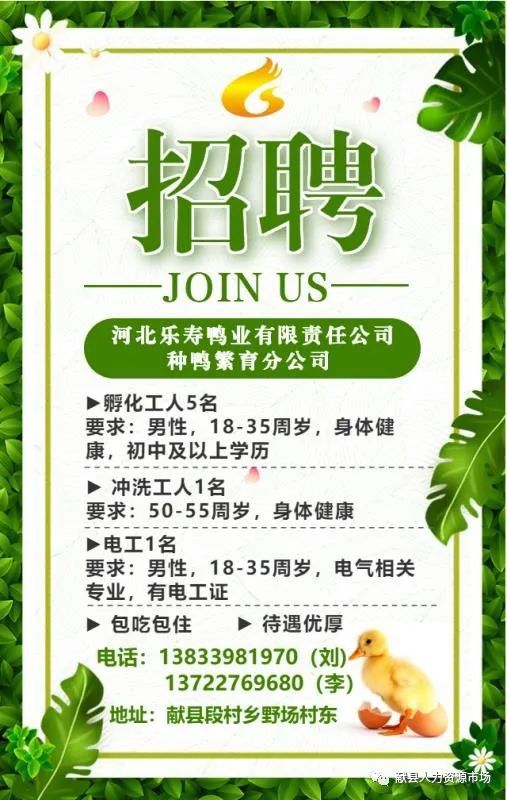 英么德最新招聘啟事，小蟲網(wǎng)人才招募之旅